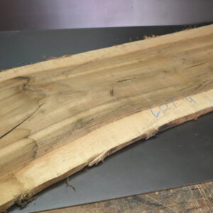 Planche de Noyer - Lot 04